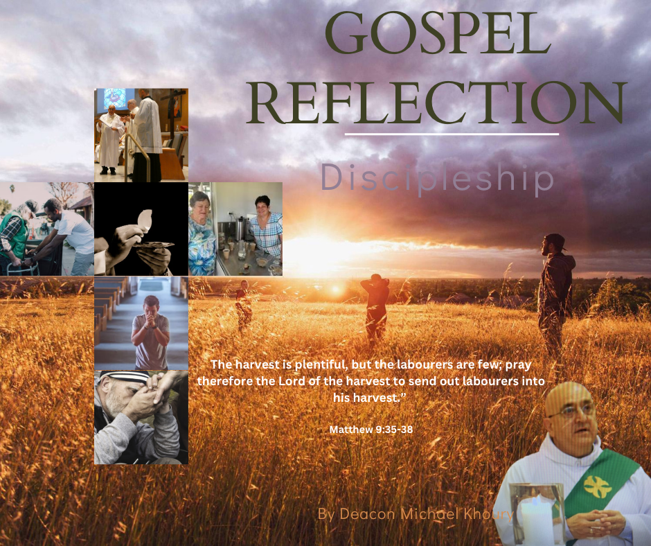 Gospel Reflection - Eleventh Sunday in Ordinary Time; 11th Sunday; Deacon Michael Khoury