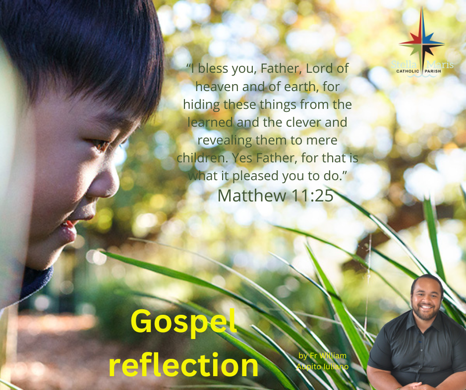 Matthew 11_25_gospel reflection