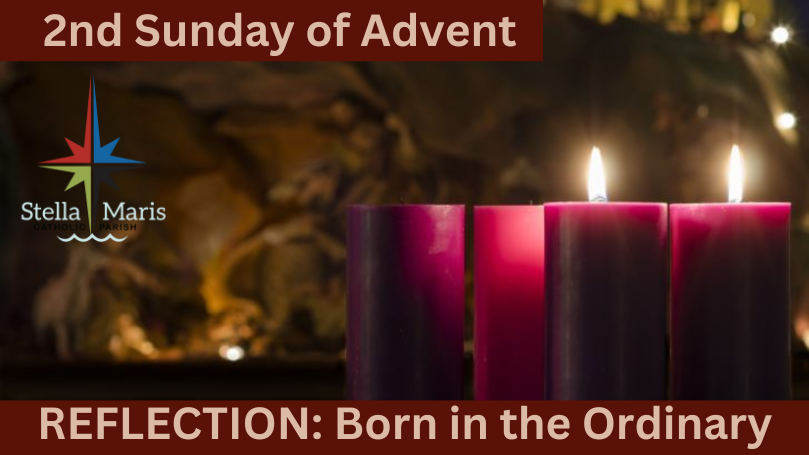 2nd Sunday Advent Stella Maris reflection